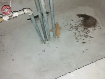 道外卫生间测漏水价格明细