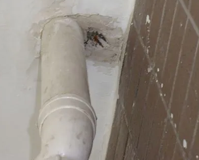 道外漏水检测哪家好